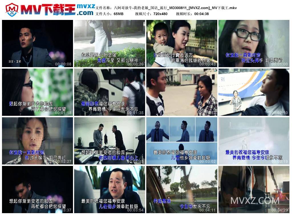 八阿哥放牛-我的老娘_国语_流行_MD300811